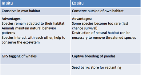 advantages of captive breeding